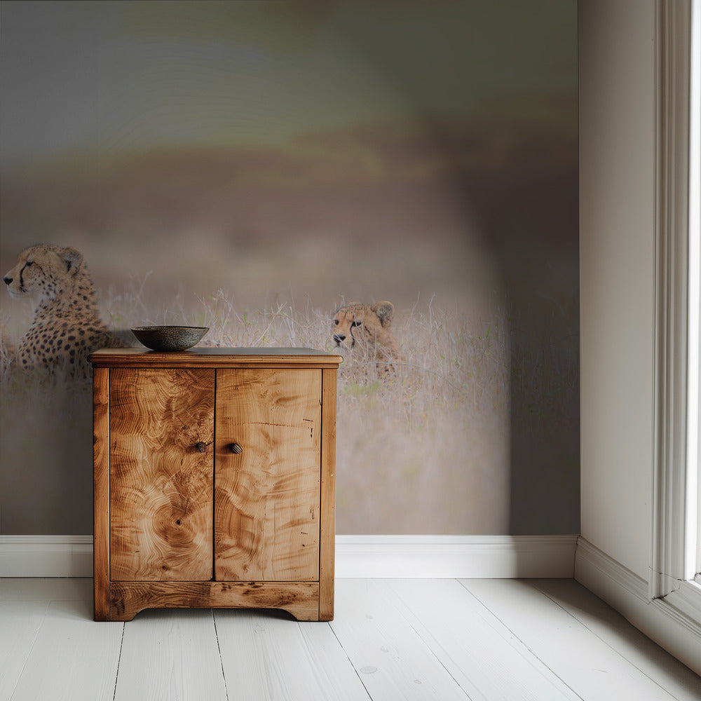 Cheetah Family | Wallpaper