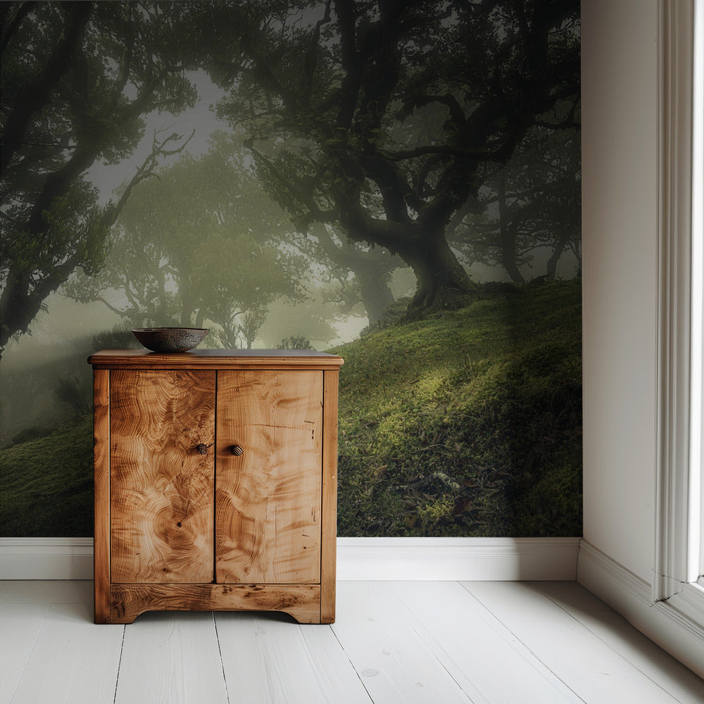 Enchanted Forest | Wallpaper