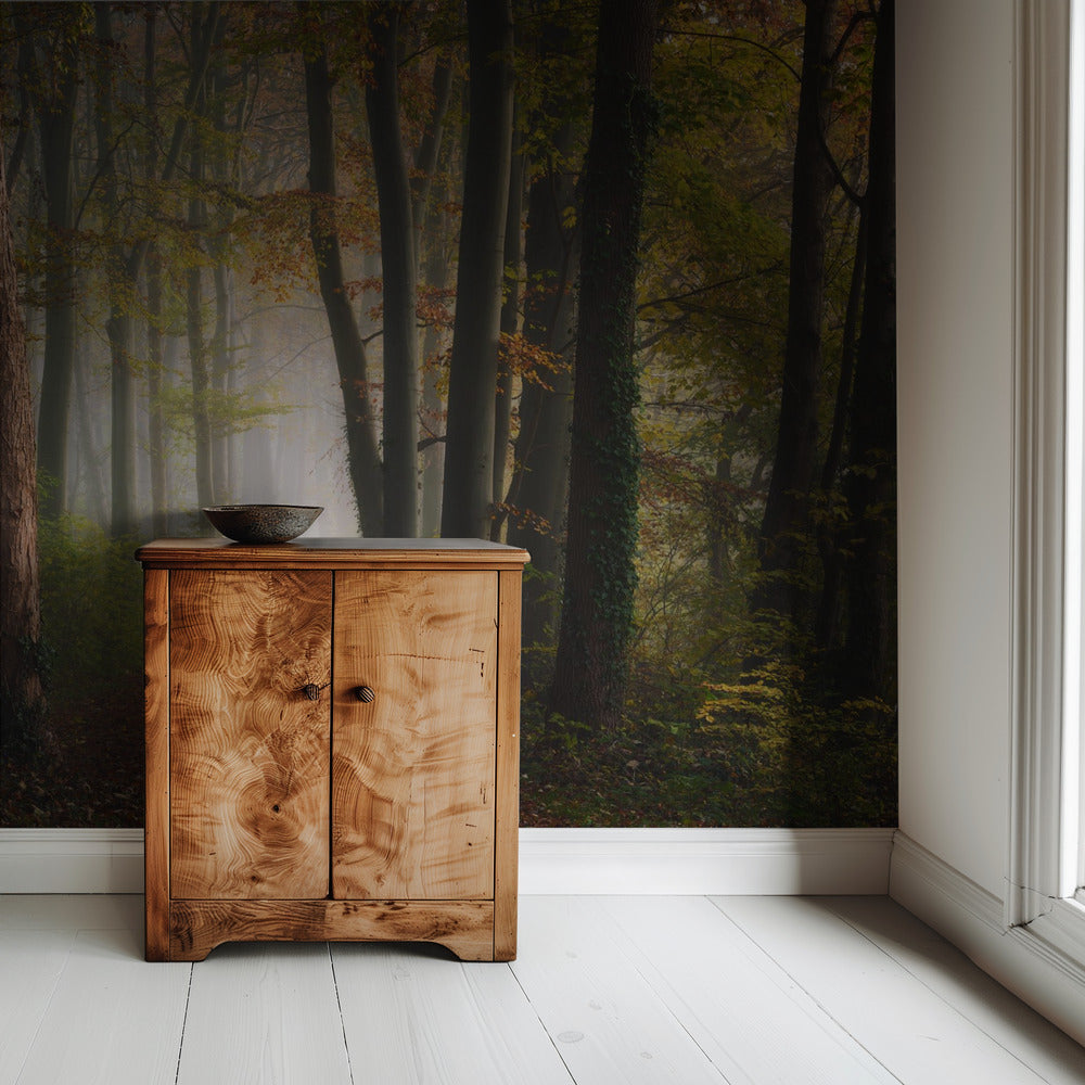 Autumn colorful forest | Wallpaper