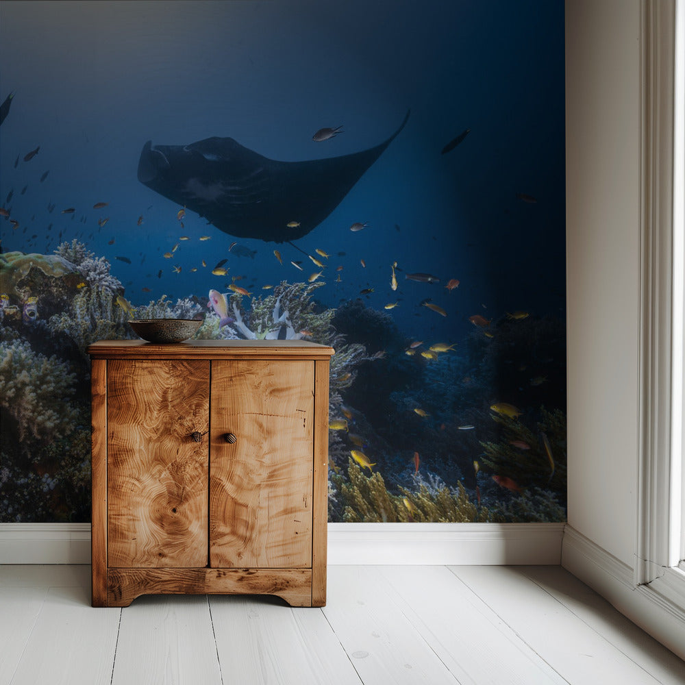 Manta reef on the reef | Wallpaper