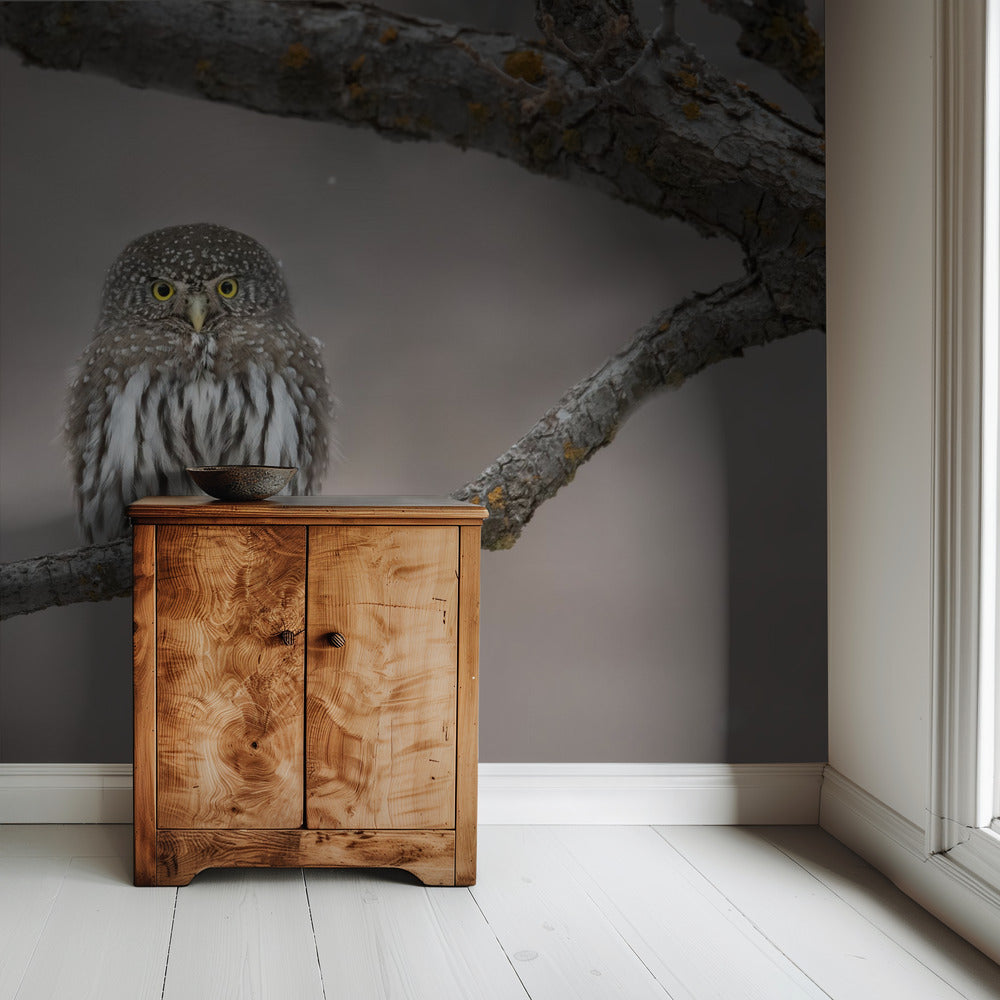 Little guy in the snow | Wallpaper