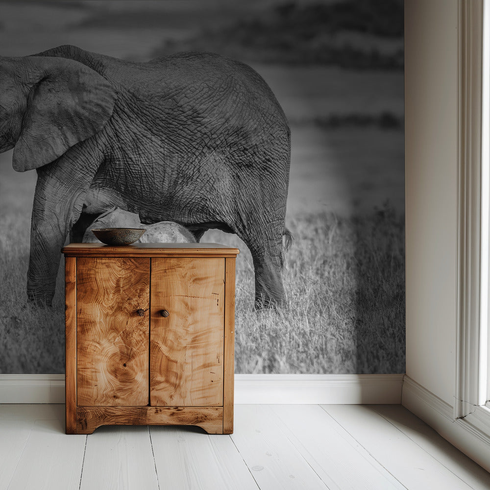 Staying close and protected | Wallpaper