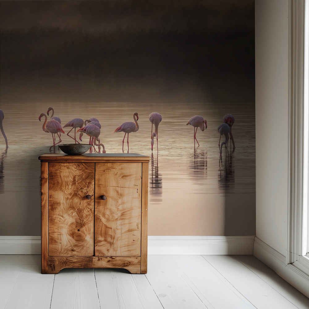 Photographic ode to Monet | Wallpaper