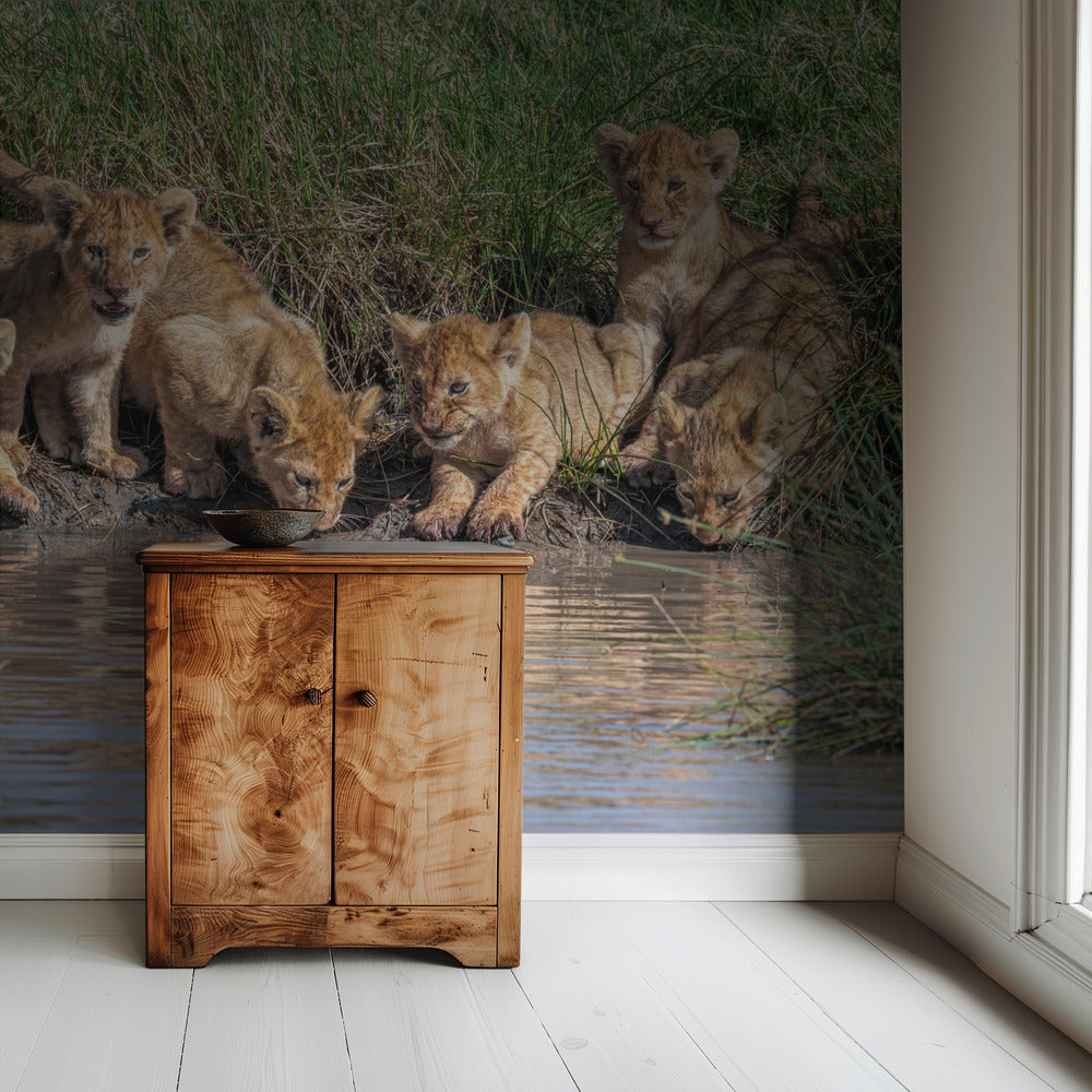 Putting the band back together.... | Wallpaper