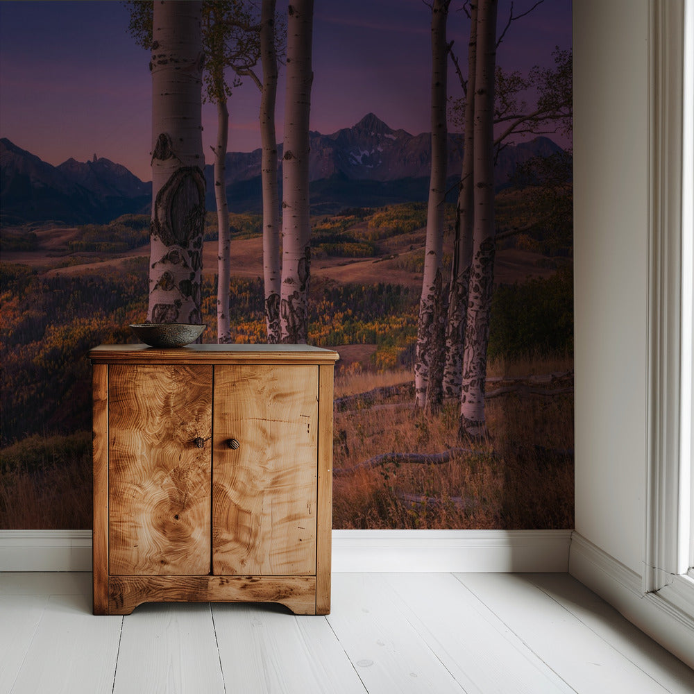 Aspen Frames | Wallpaper