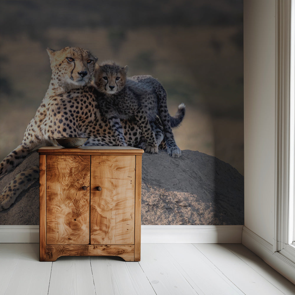 Cheetah and cup! | Wallpaper