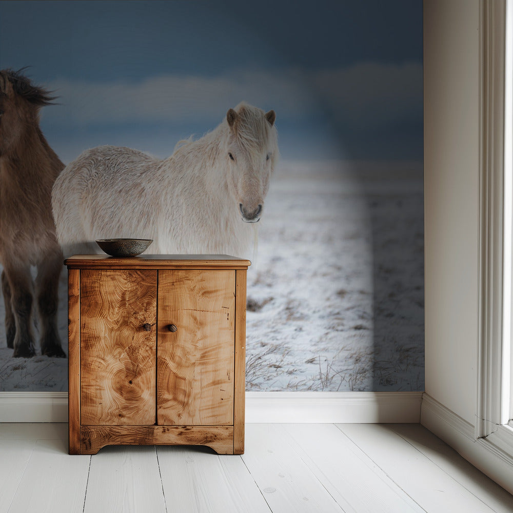 B R O T H E R S | Wallpaper