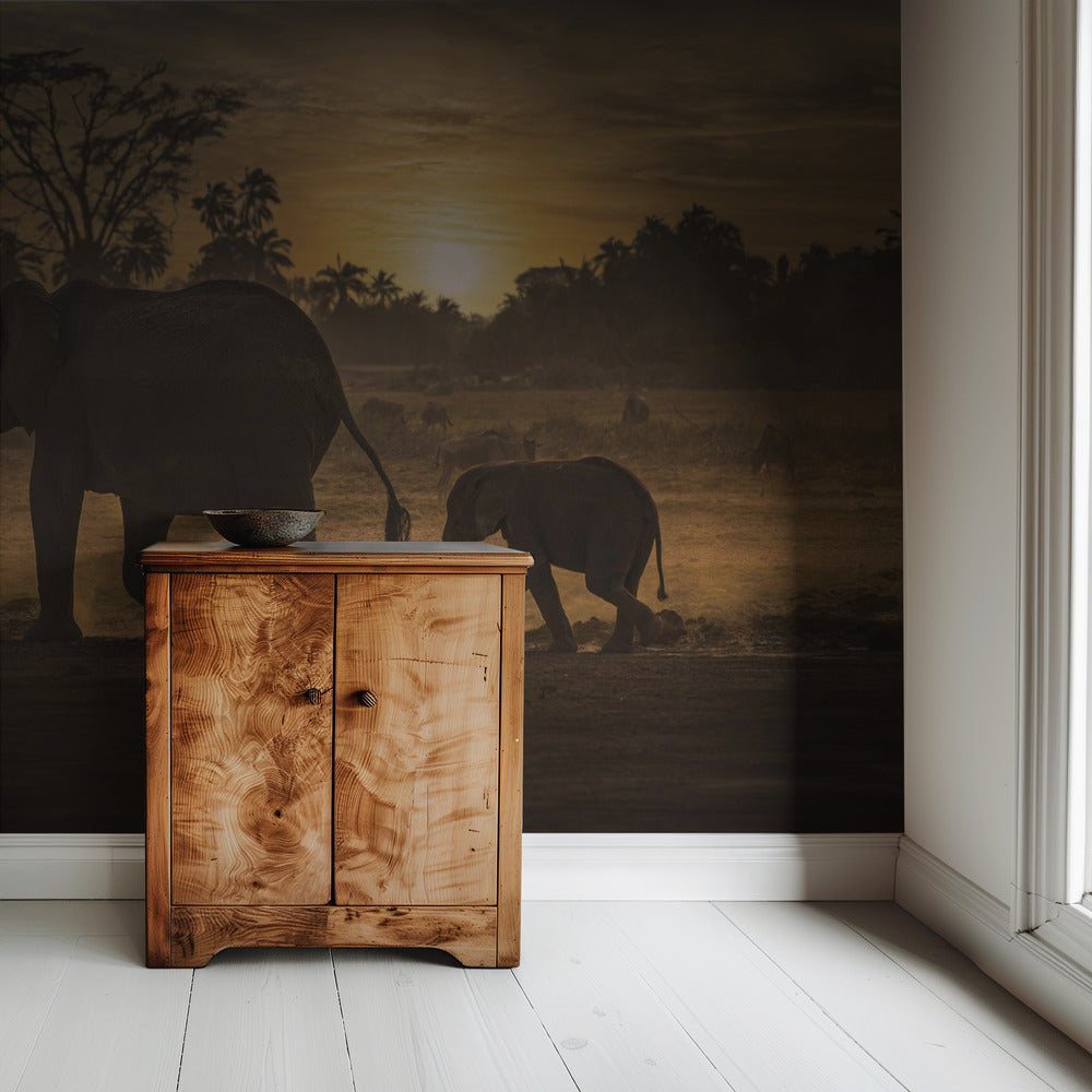 Follow me | Wallpaper