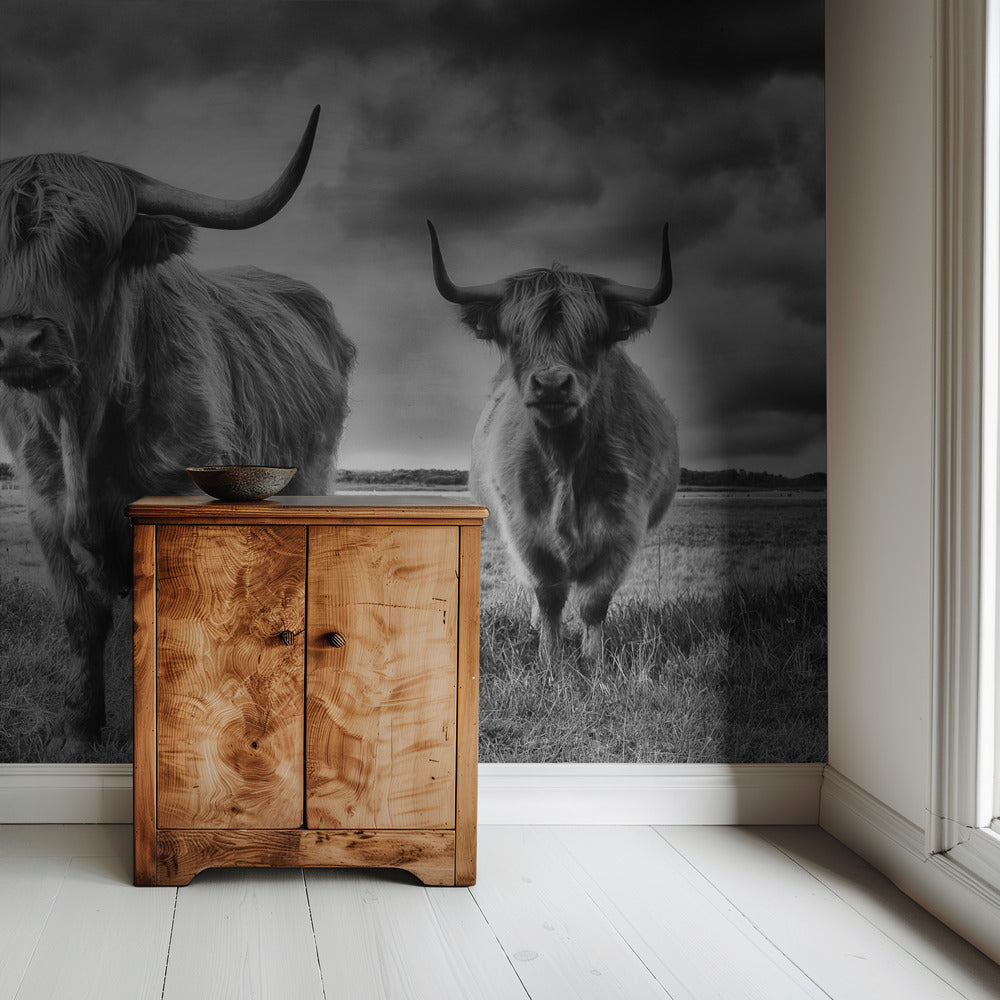 Highlands | Wallpaper