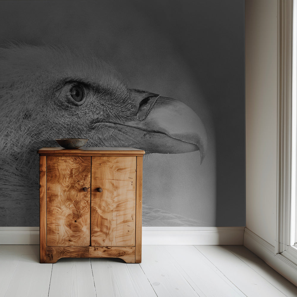 Bald eagle | Wallpaper