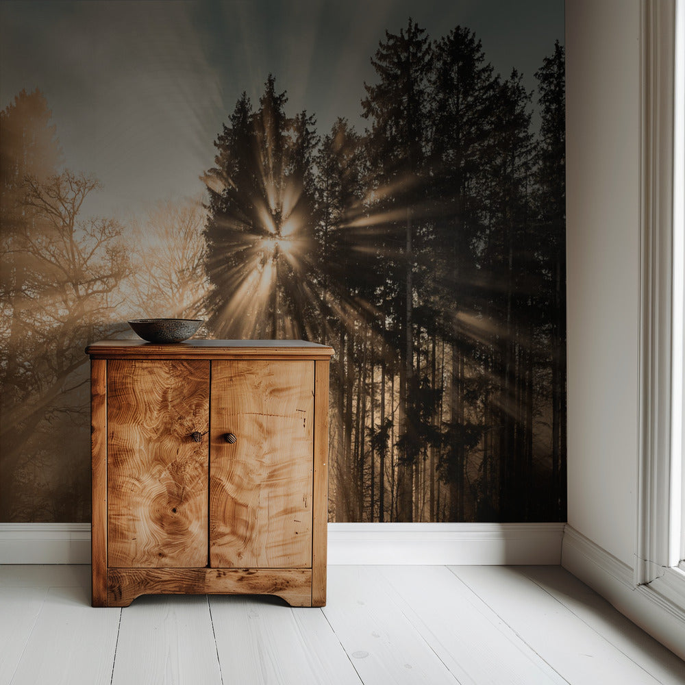 Fading away | Wallpaper