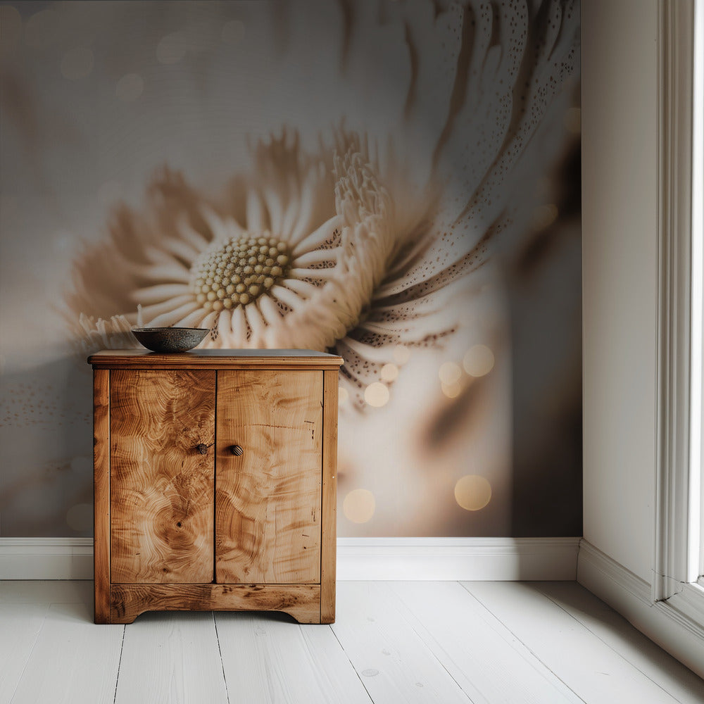 Petal Glow Dreaming | Wallpaper