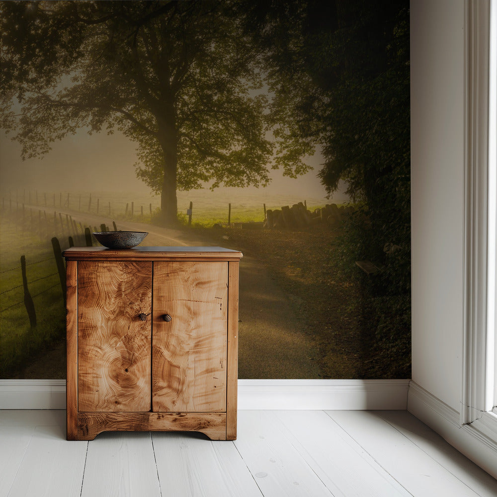 Morning walk | Wallpaper