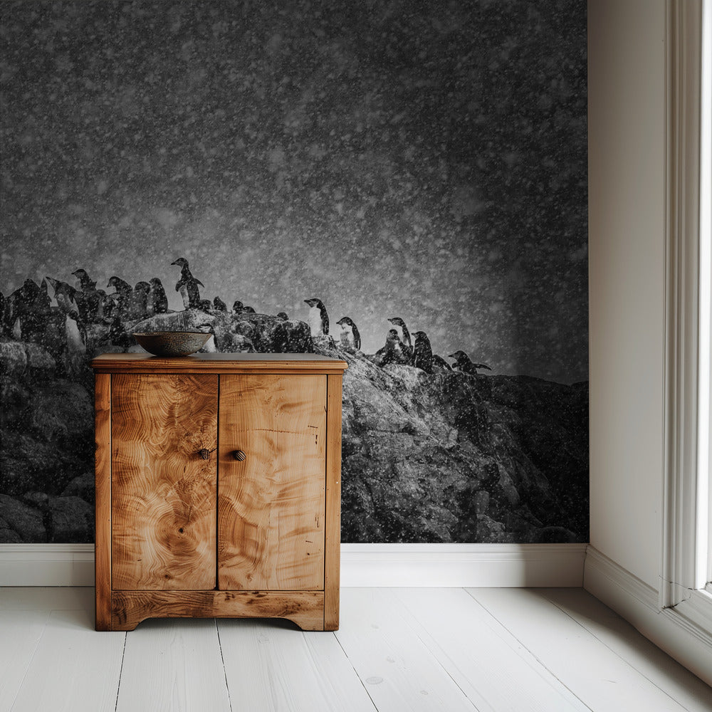 Antarctic storm | Wallpaper