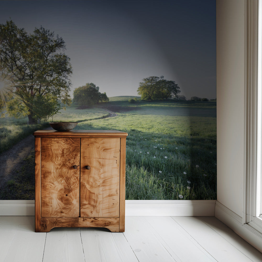 Spring Path | Wallpaper