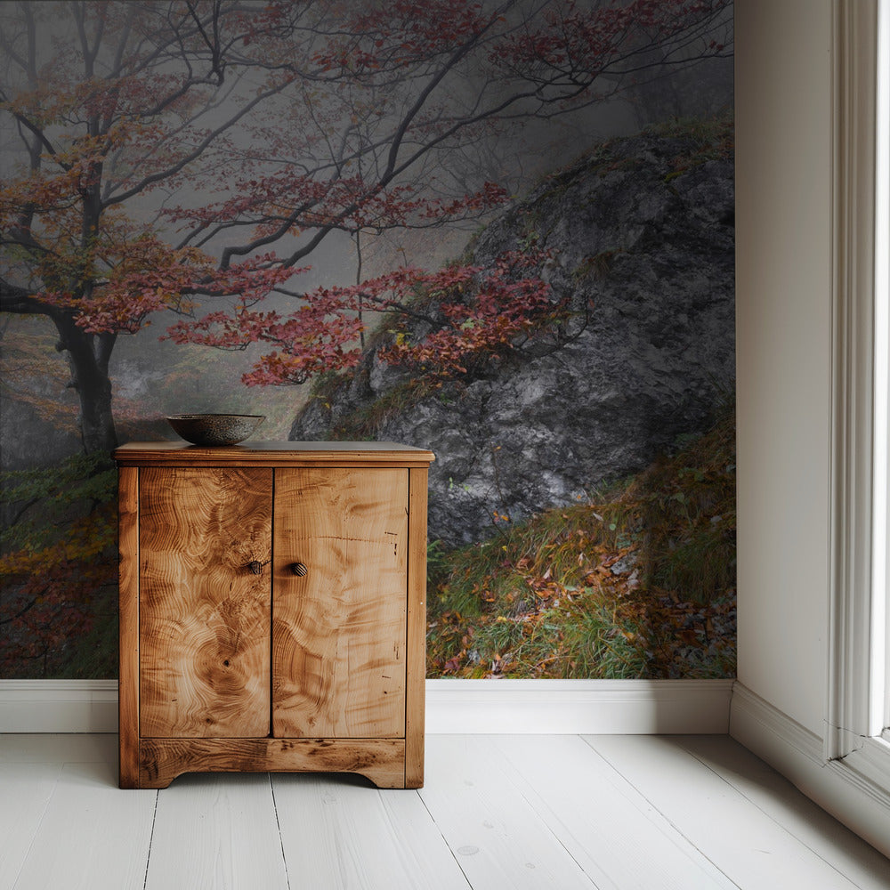 Foggy Woods | Wallpaper