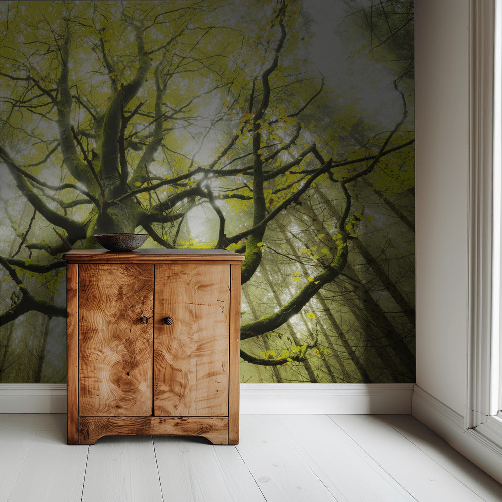 The Dream Tree | Wallpaper