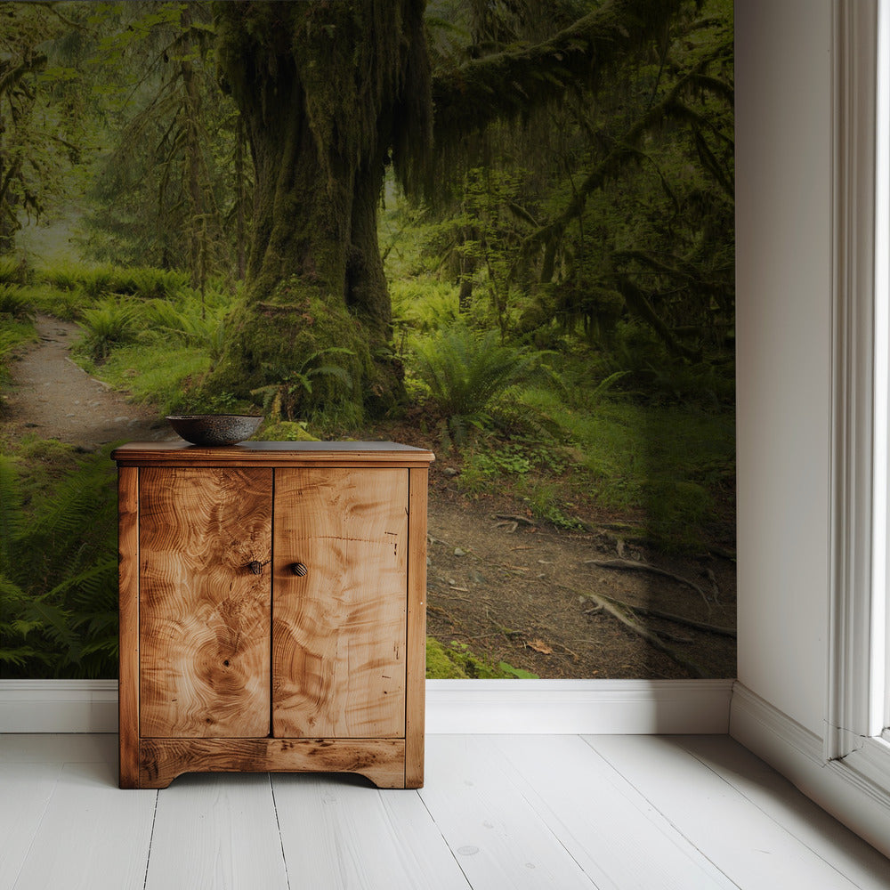 Hoh Rainforest | Wallpaper