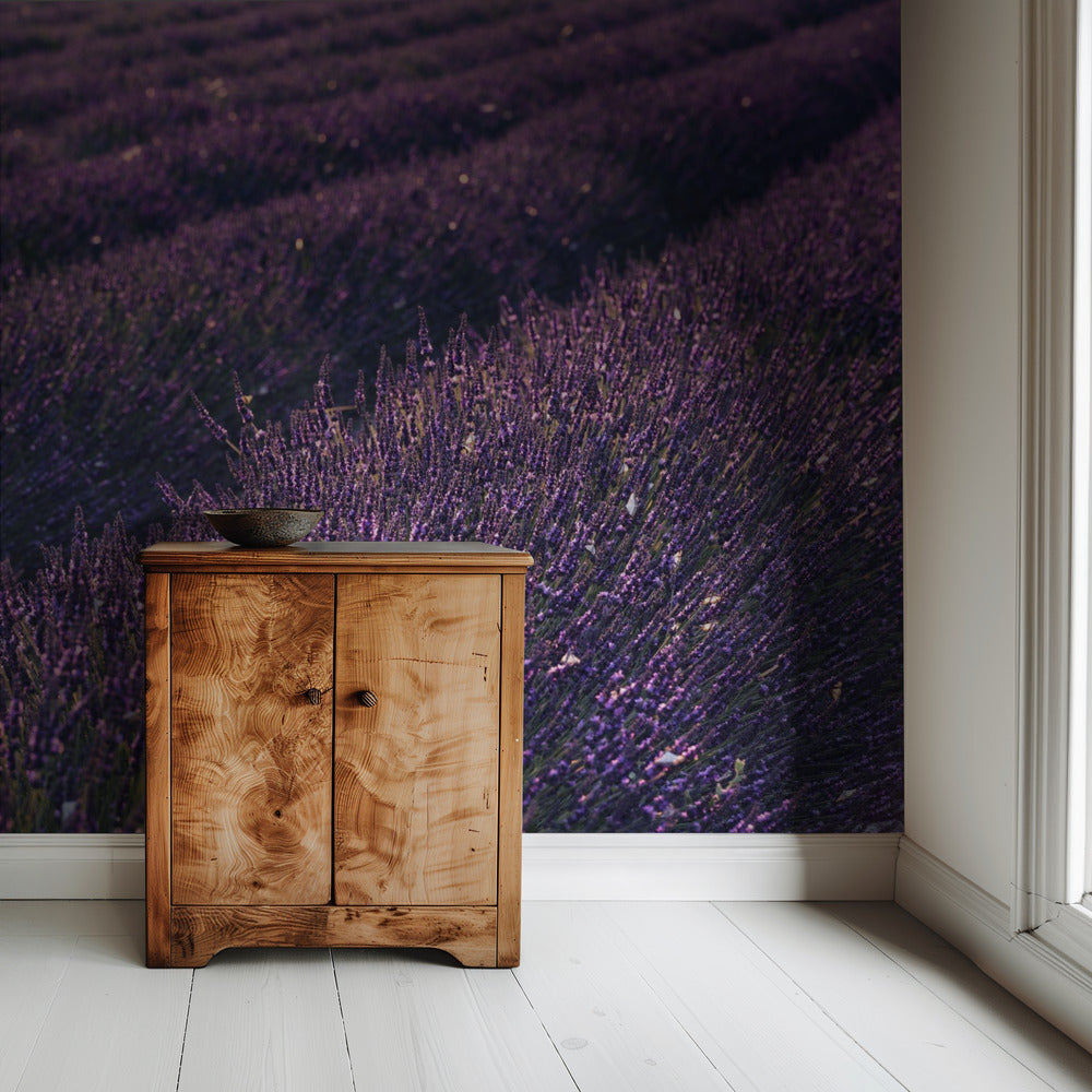 Provence Lavender | Wallpaper