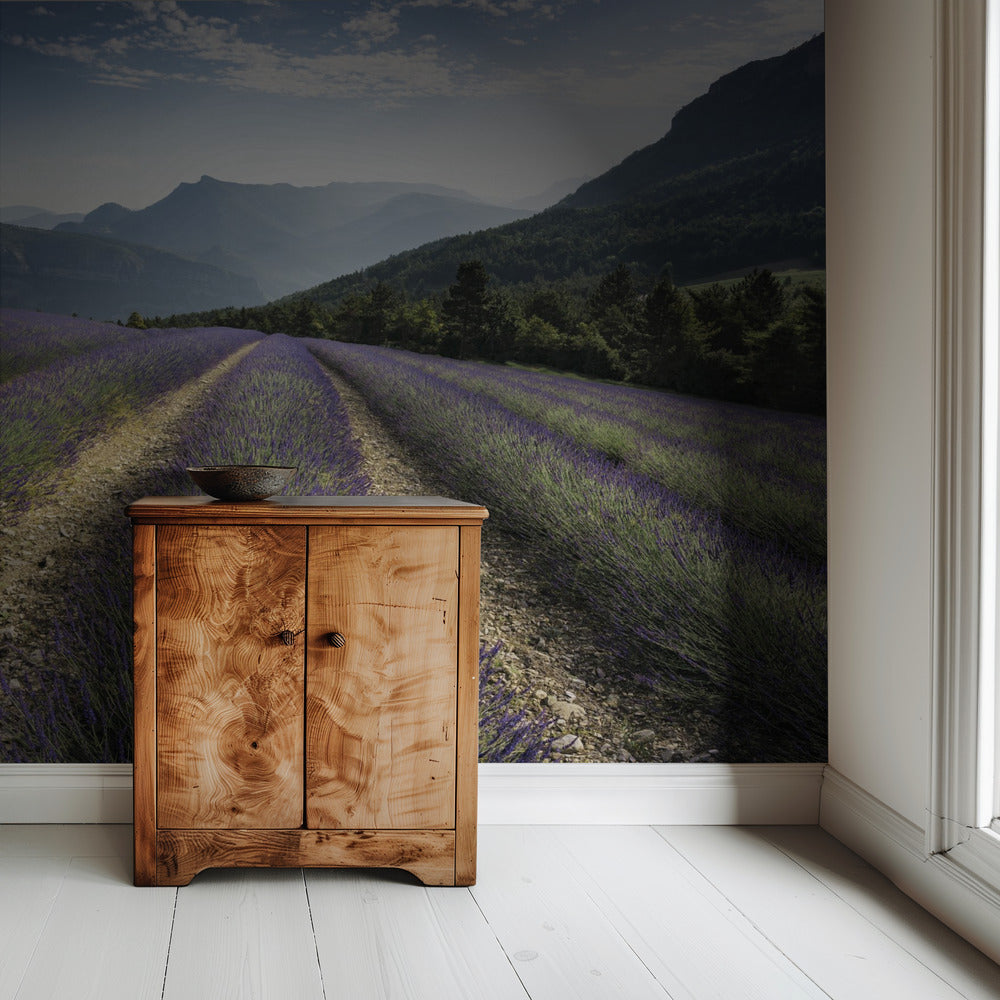 Lavender Hills | Wallpaper