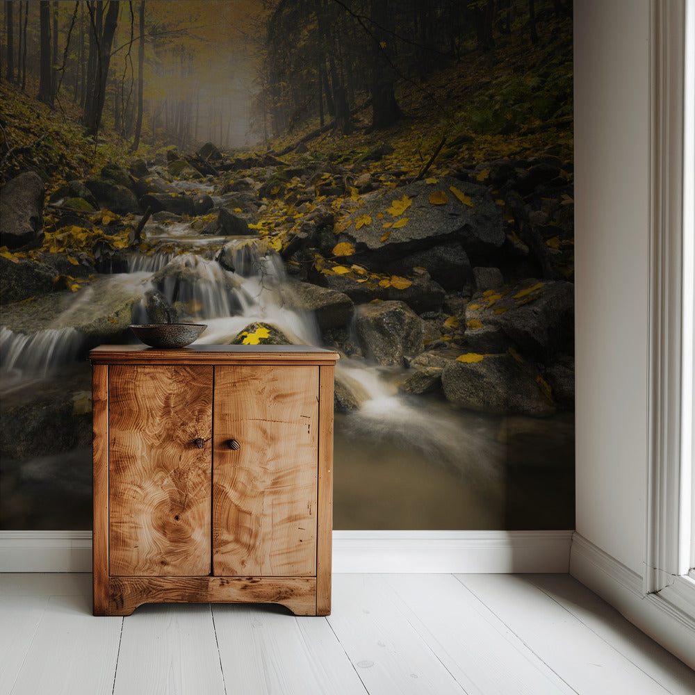 Autum Stream | Wallpaper