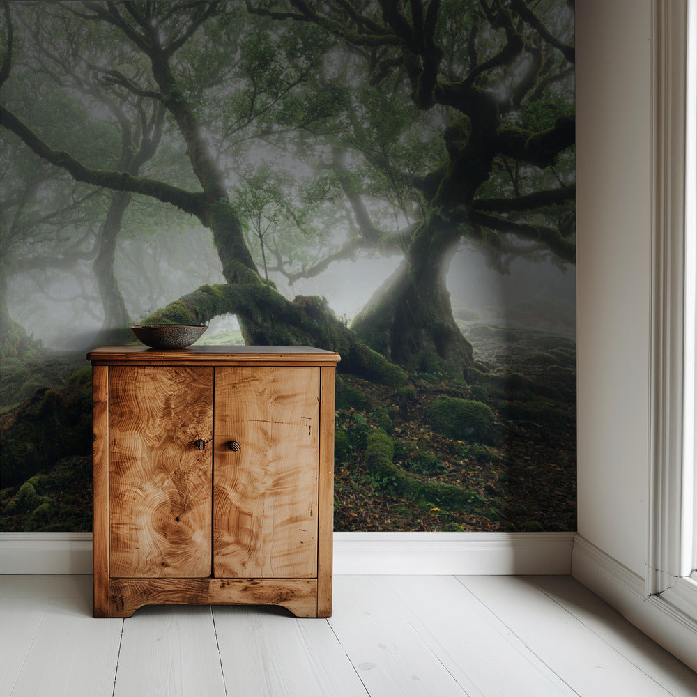 Mystic Laurel Forest | Wallpaper