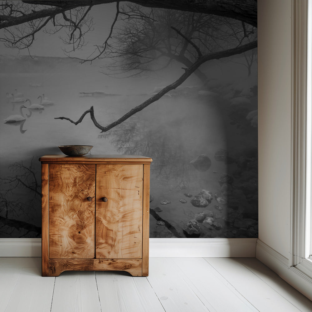 Swans in hot springs | Wallpaper