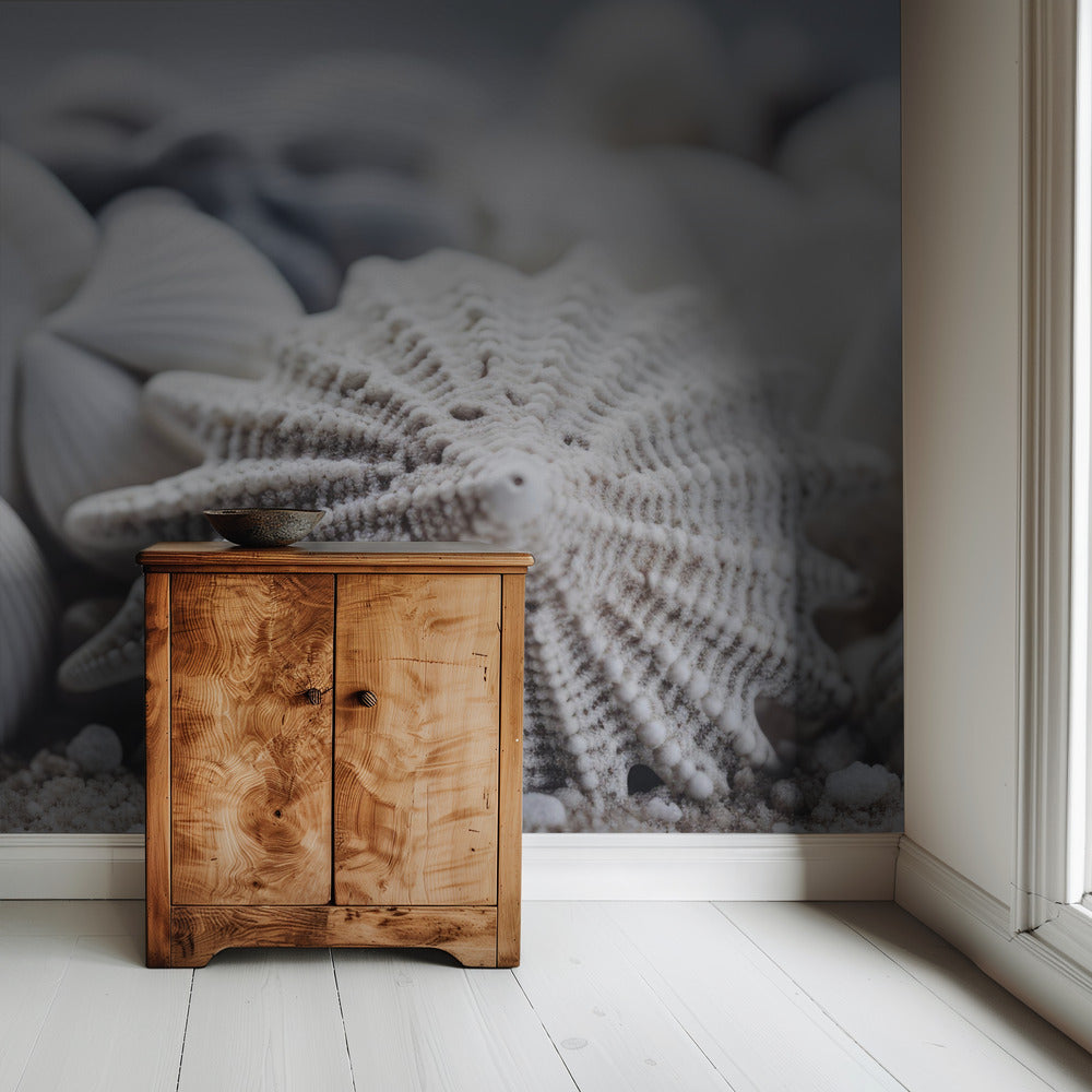 Seashell Serenity | Wallpaper