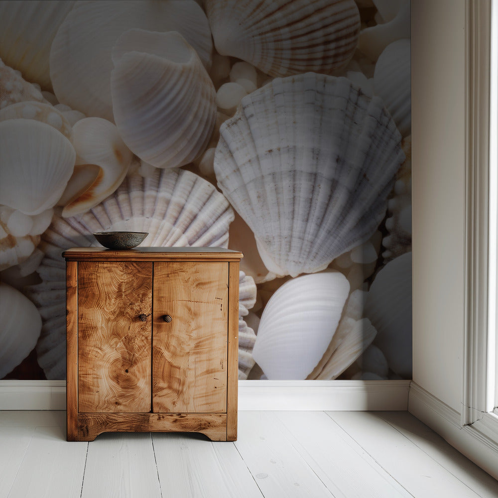 Seashell Symphony | Wallpaper
