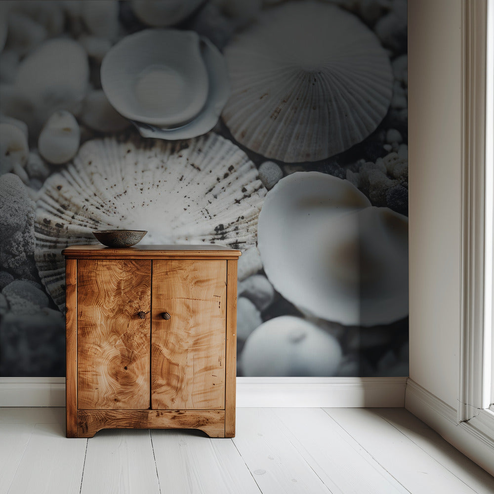 Seashell Symphony | Wallpaper