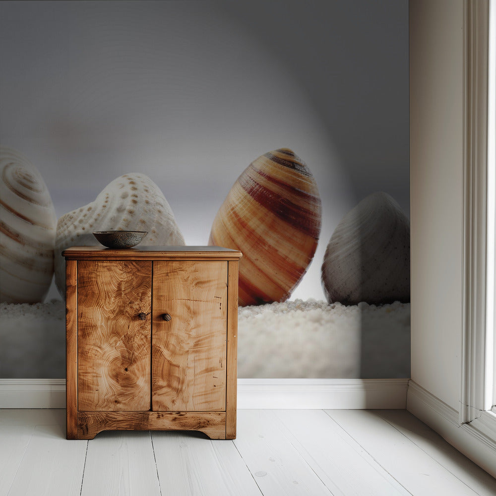 Seashell Symphony | Wallpaper