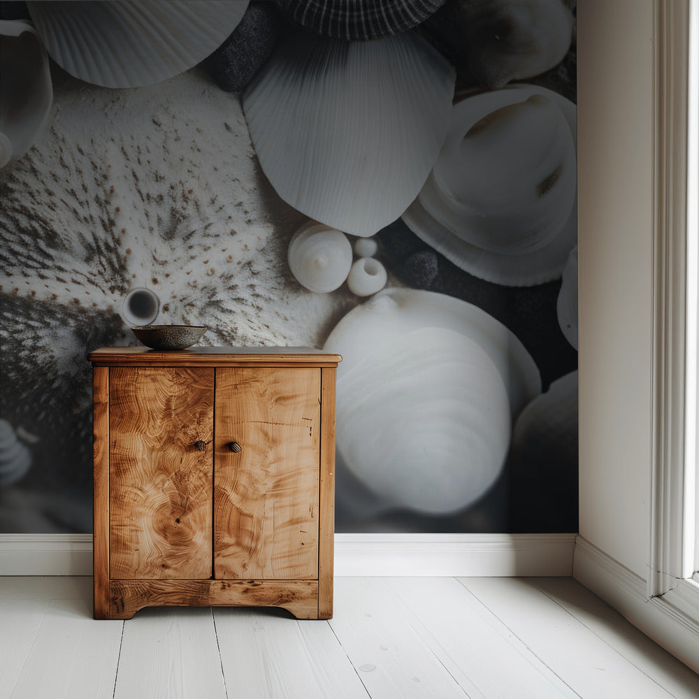 Seashell Symphony | Wallpaper