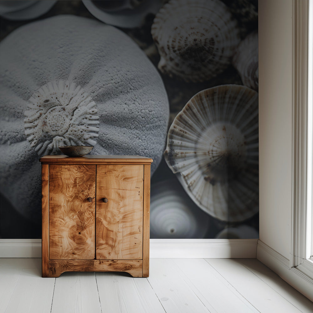 Seashell Symphony | Wallpaper