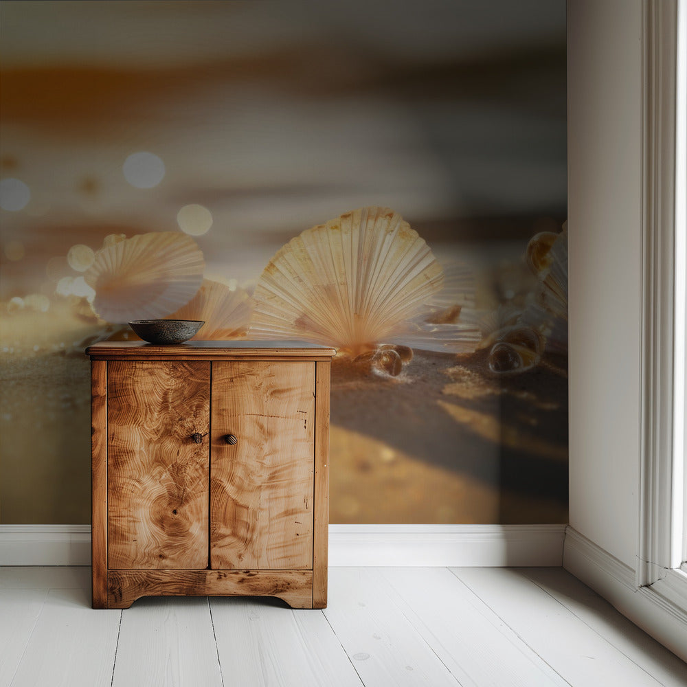 Sunlit Seashells | Wallpaper