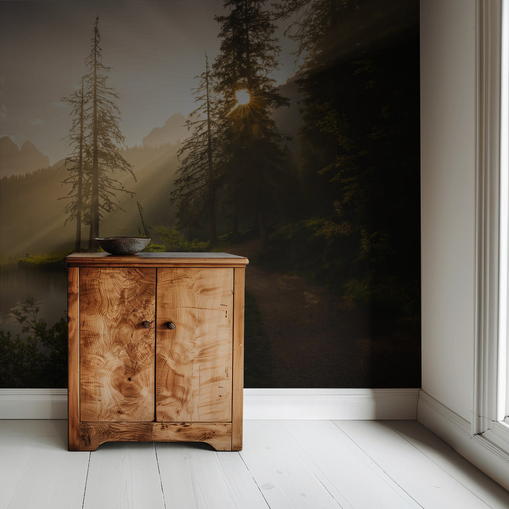 Morning Light | Wallpaper