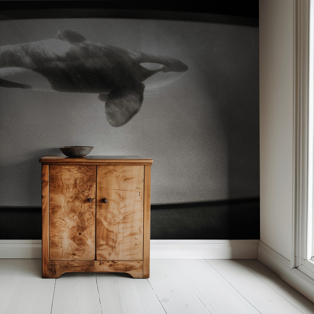 Within the Orca's Domain | Wallpaper