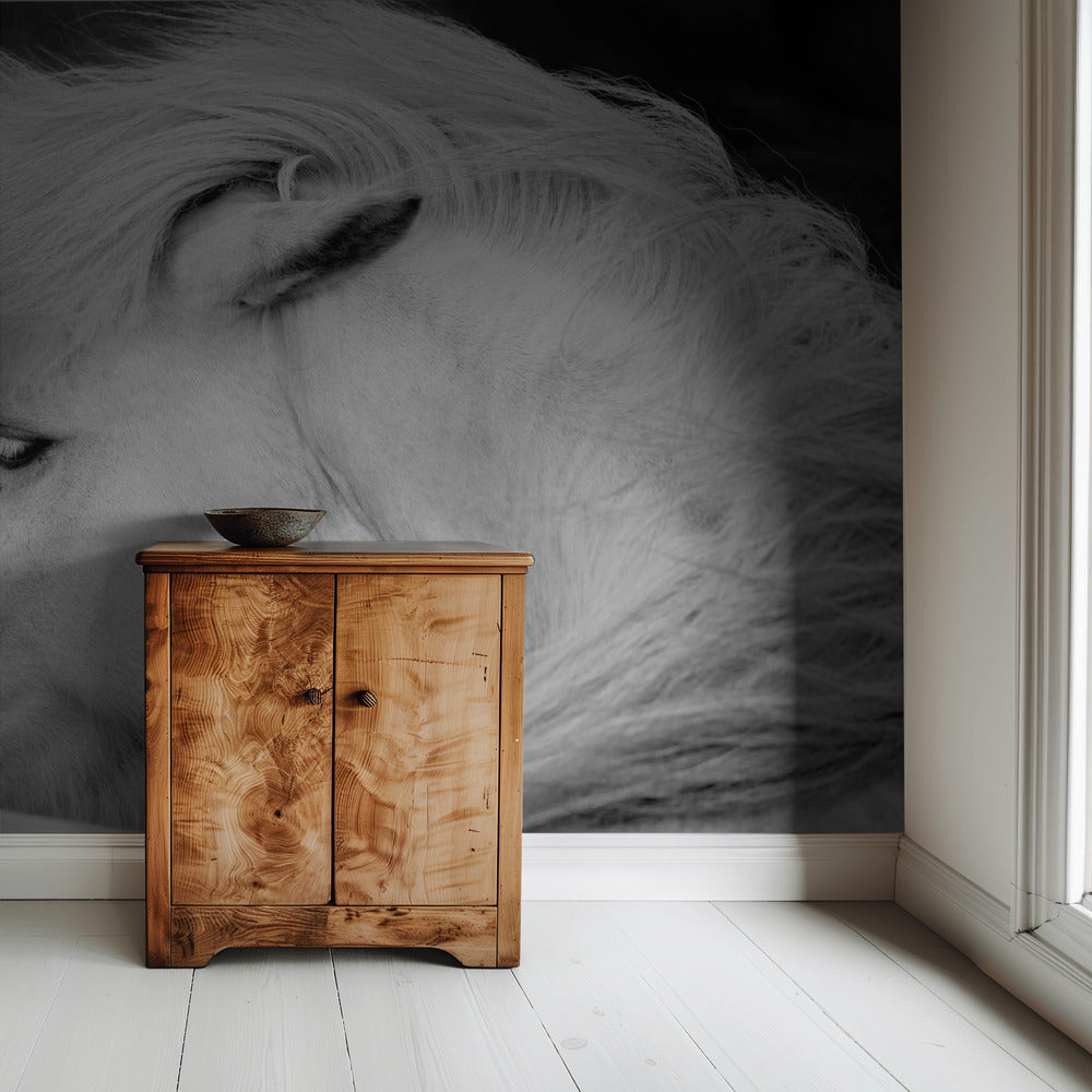 Listen to the Wind | Wallpaper