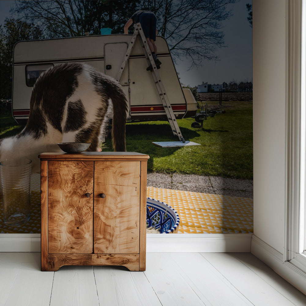 Simular poses... | Wallpaper