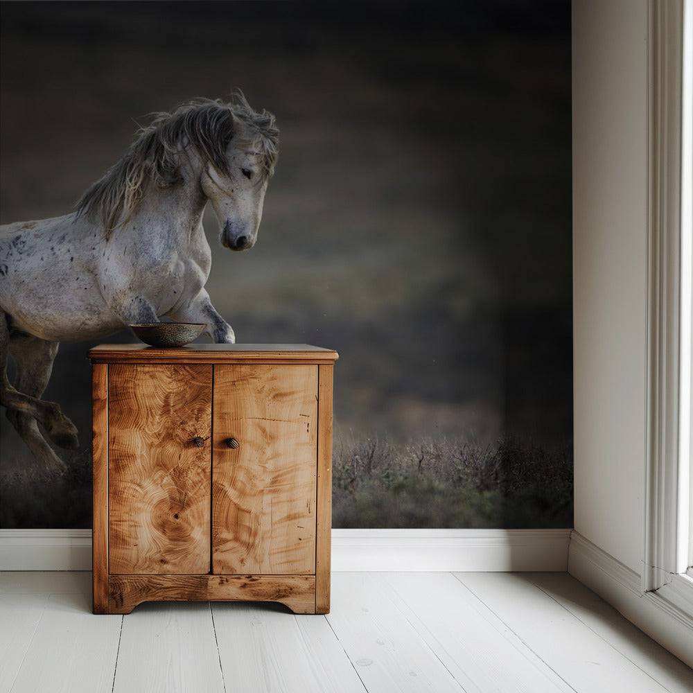 Mustang, Wild Horse / Equus ferus caballus | Wallpaper
