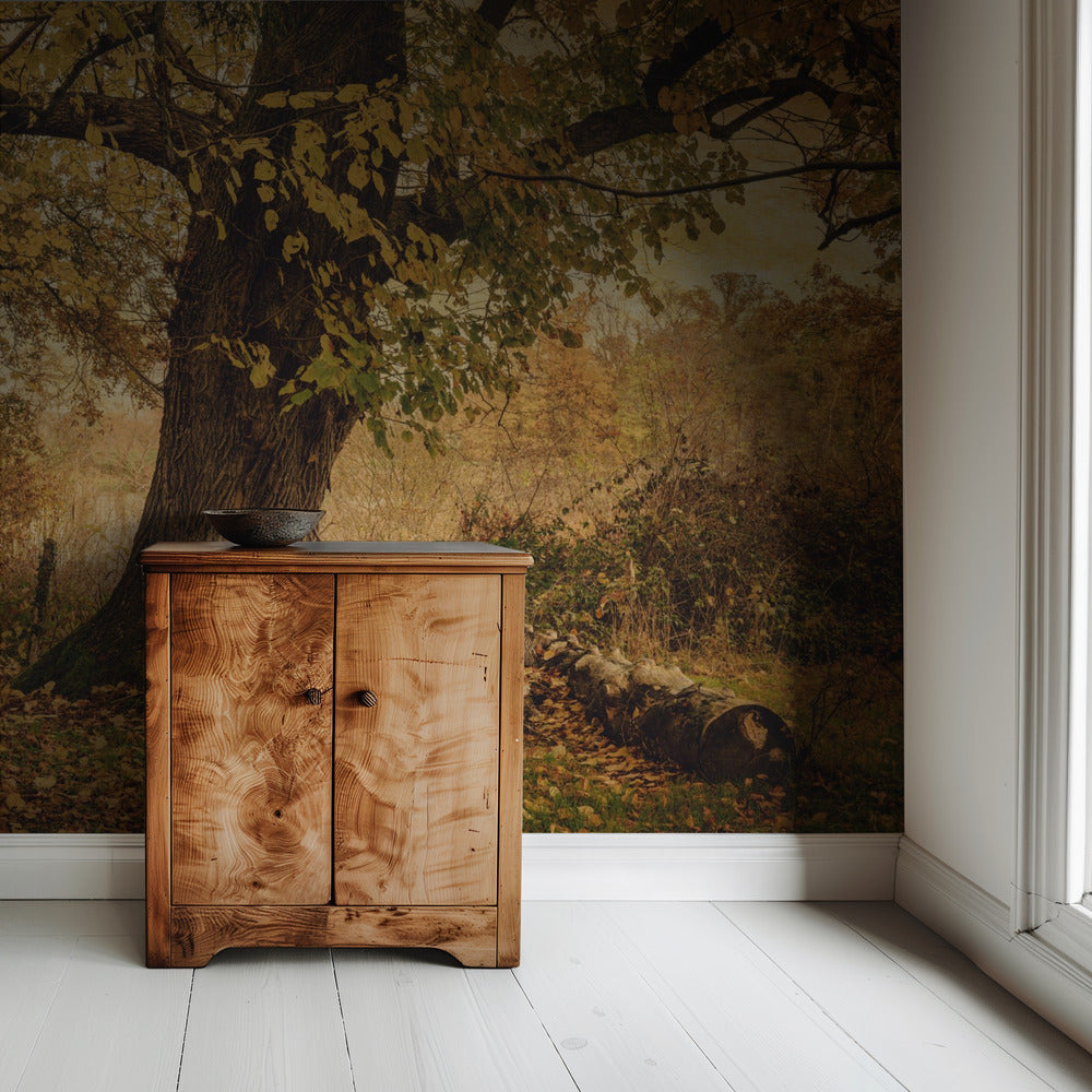 Old tree | Wallpaper