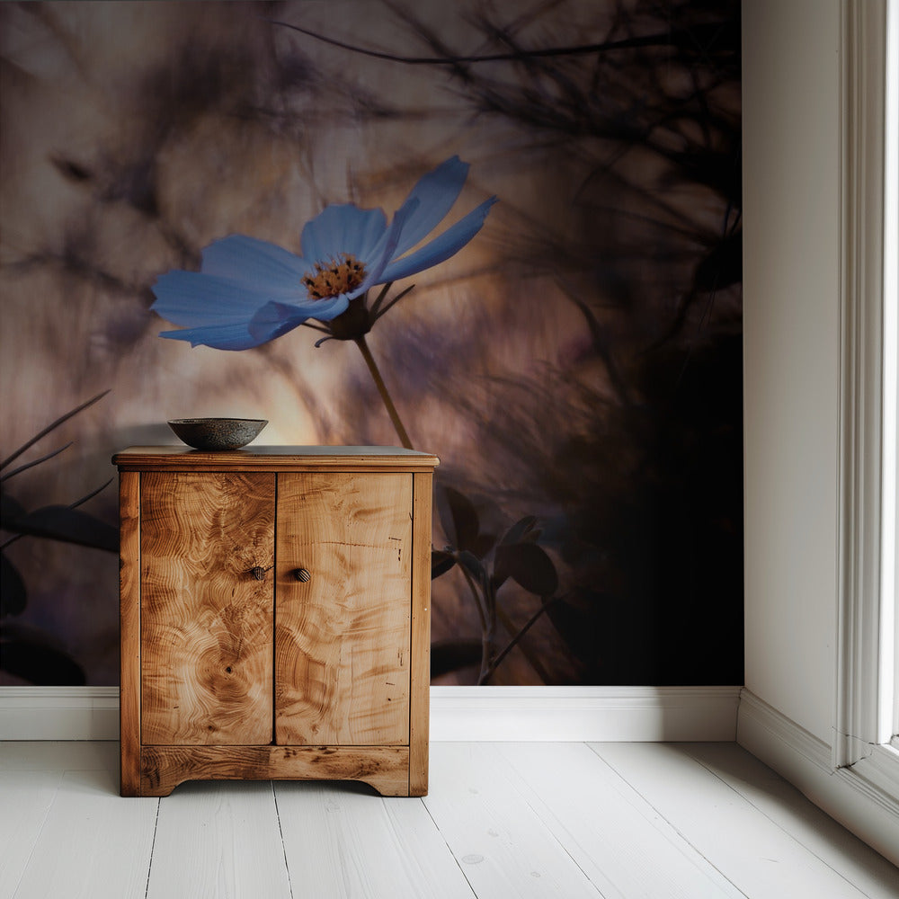 L'indiffÃ©rence | Wallpaper