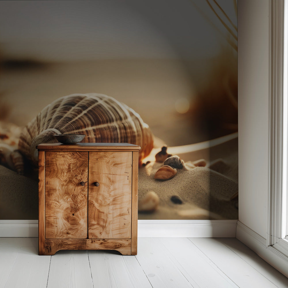 Dunes&#039; Silent Shells | Wallpaper