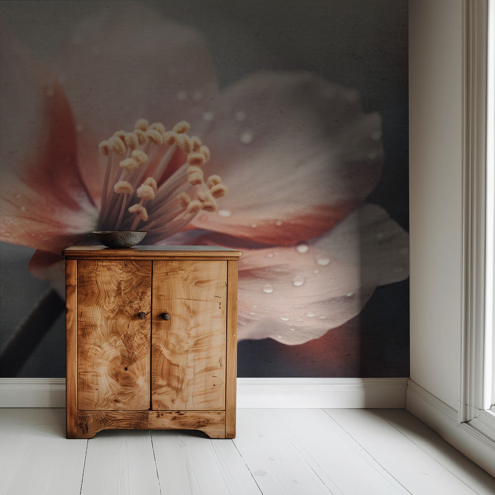 Petals of Serenity | Wallpaper