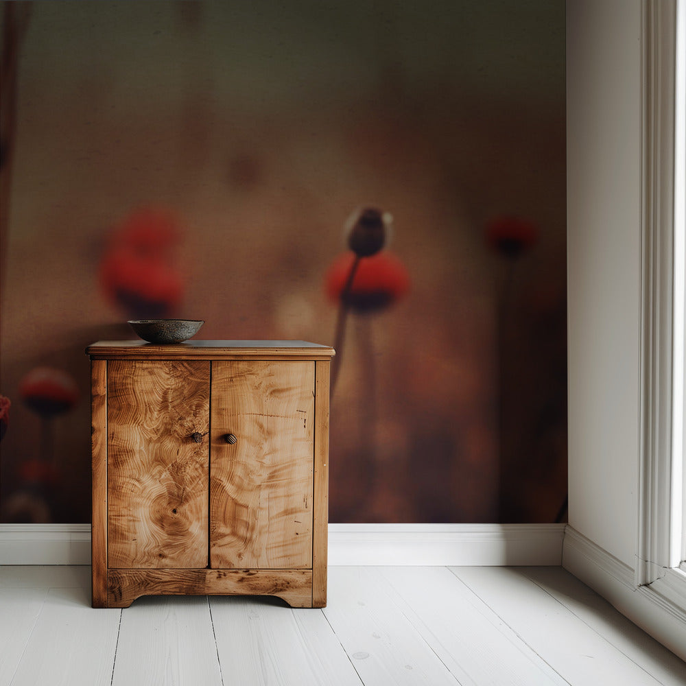 Poppy Dreams | Wallpaper