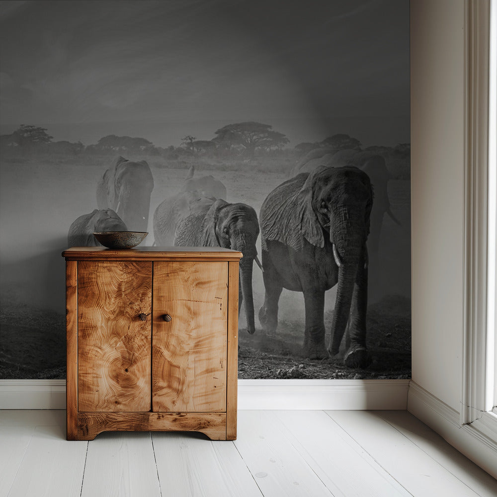 Sequence of emotion | Wallpaper