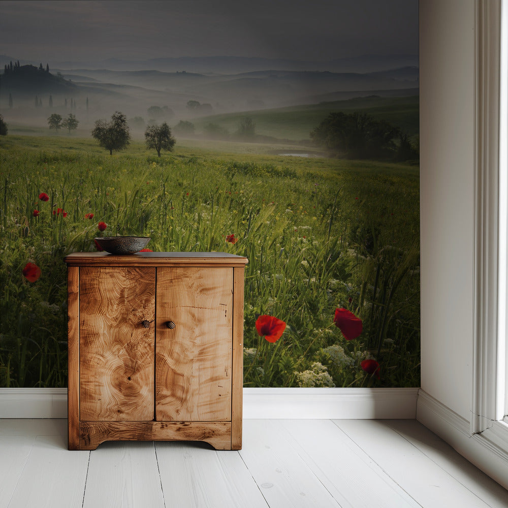 Tuscan spring | Wallpaper