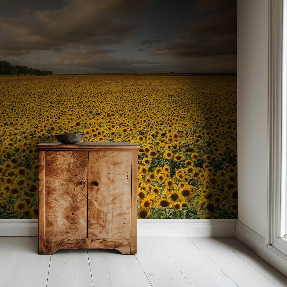 Sunflowers | Wallpaper