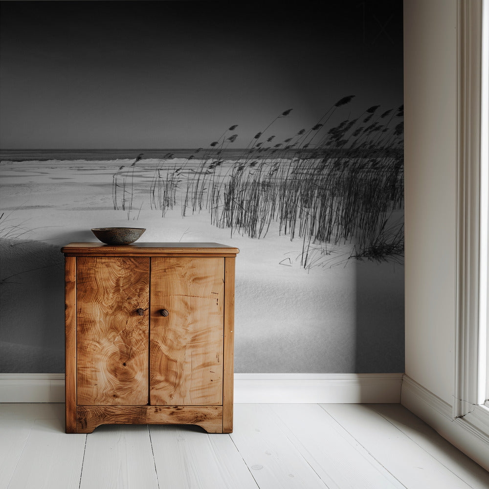 Orchestra | Wallpaper