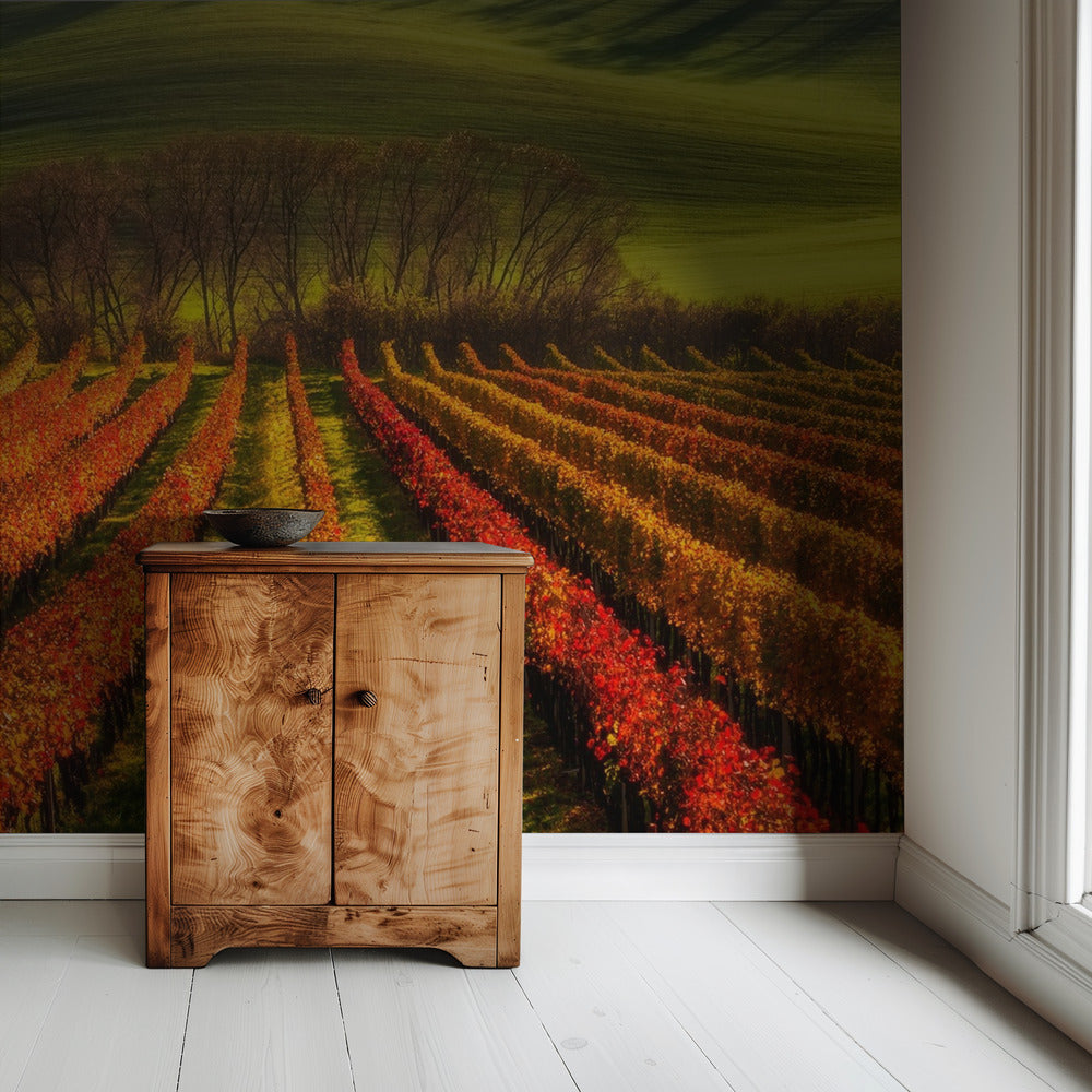 vine-growing | Wallpaper