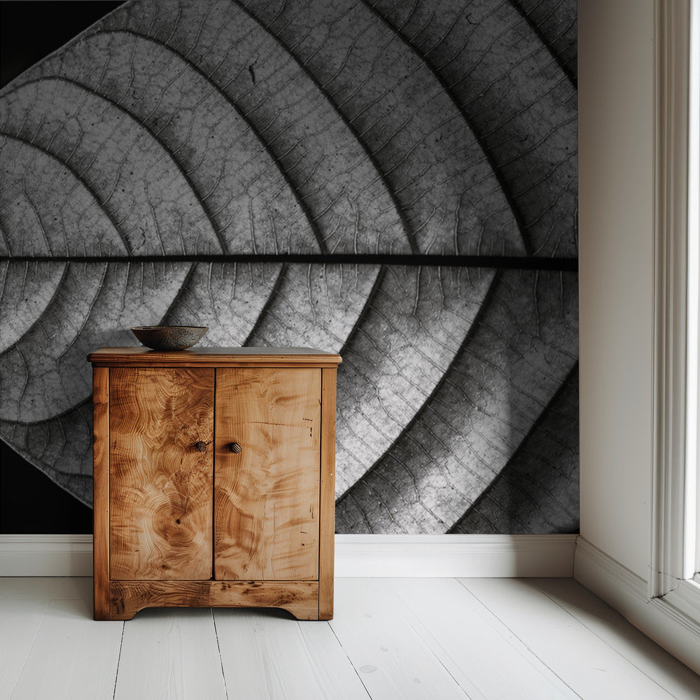 Dry Fish | Wallpaper